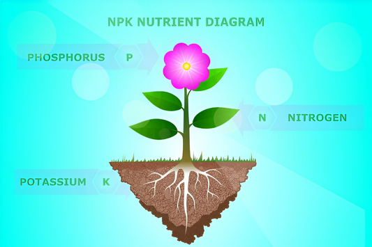 Understanding NPK Fertilizers: