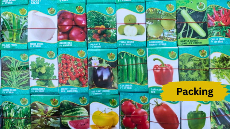 Winter Seeds & Bulbs