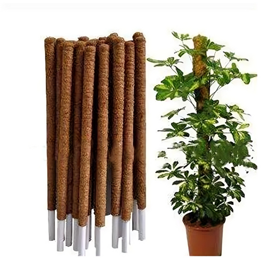 Moss stick – Coco Pole Plant support