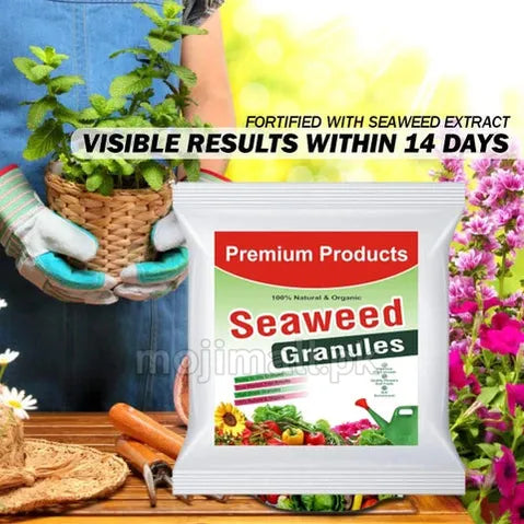 Seaweed Granules (UAE-imported)-Moji Mall