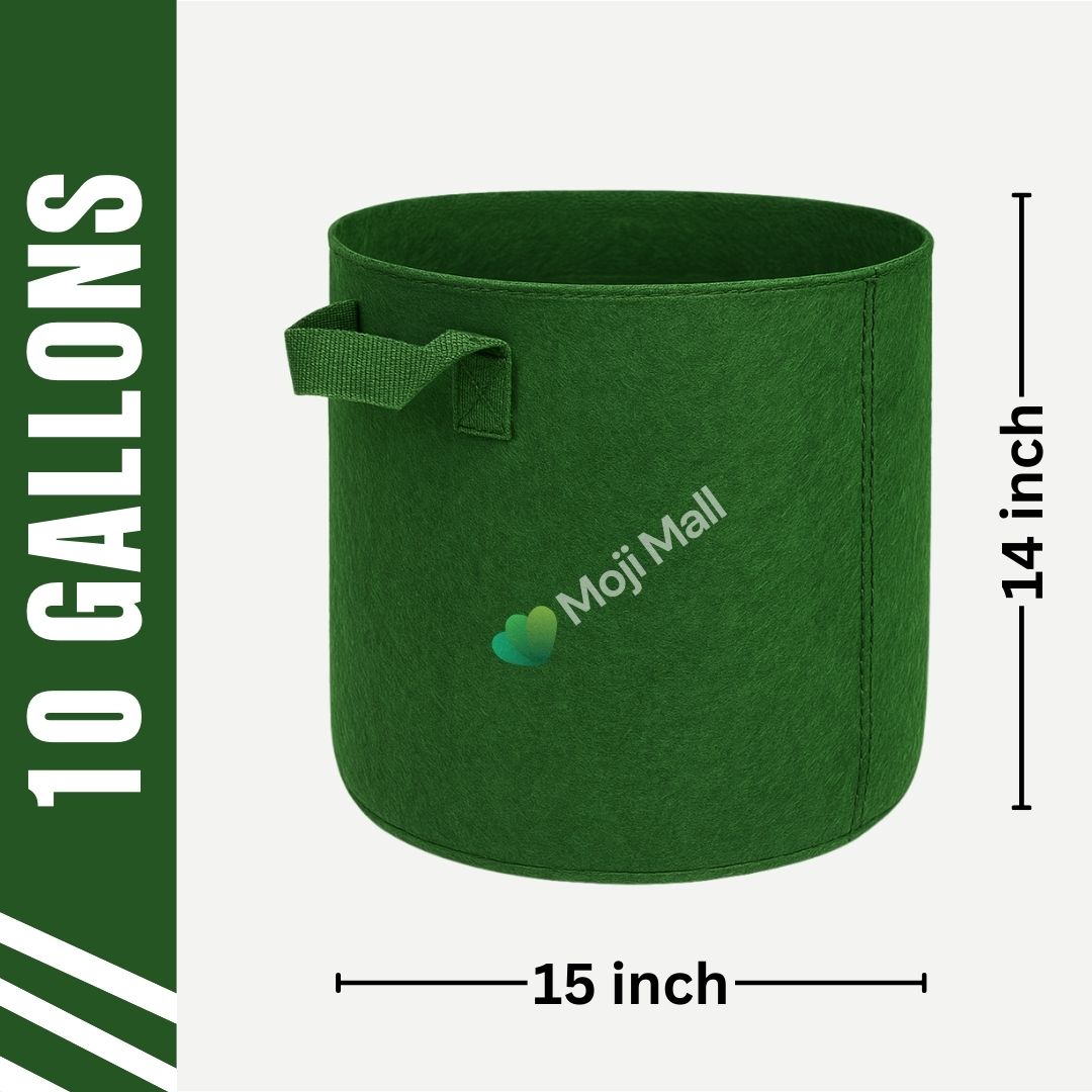 Durable green grow bag with 10-gallon capacity for home gardening