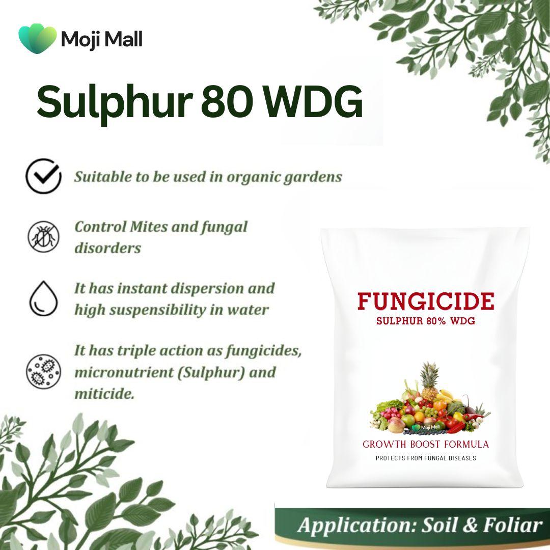 Fungicide - Sulphur 80-Moji Mall