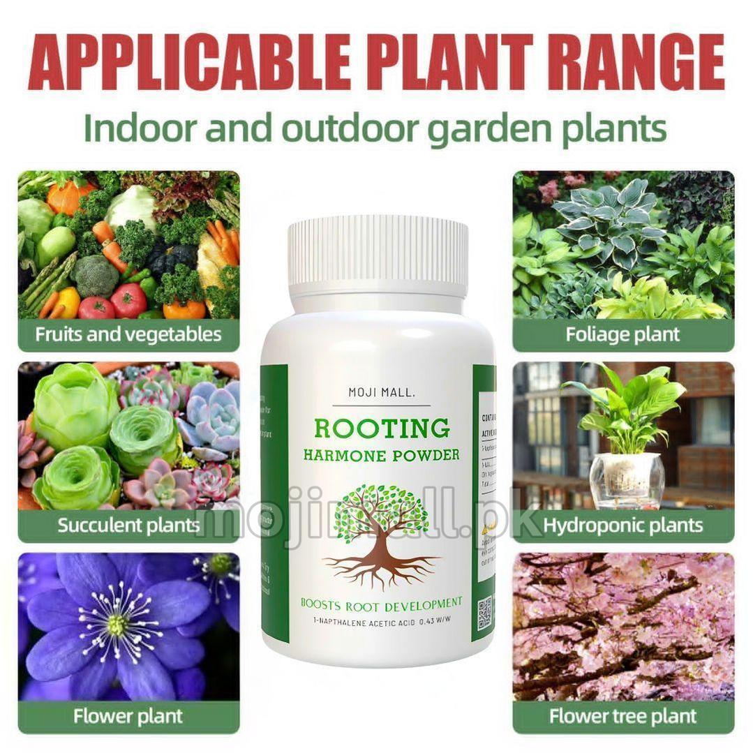 Rooting Powder (imported)-Moji Mall