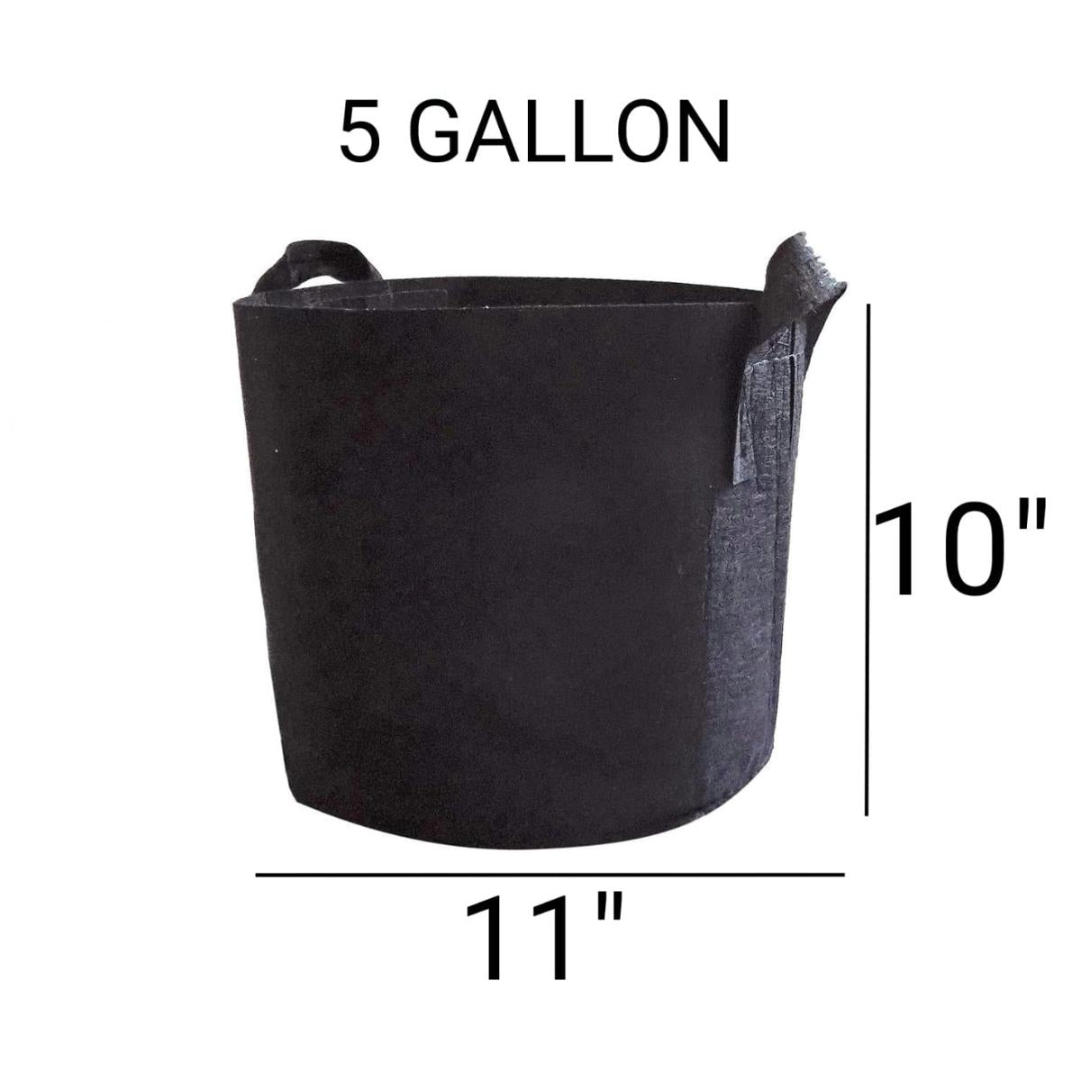 Deal of 3 Grow Bags (10x11 INCHES)
