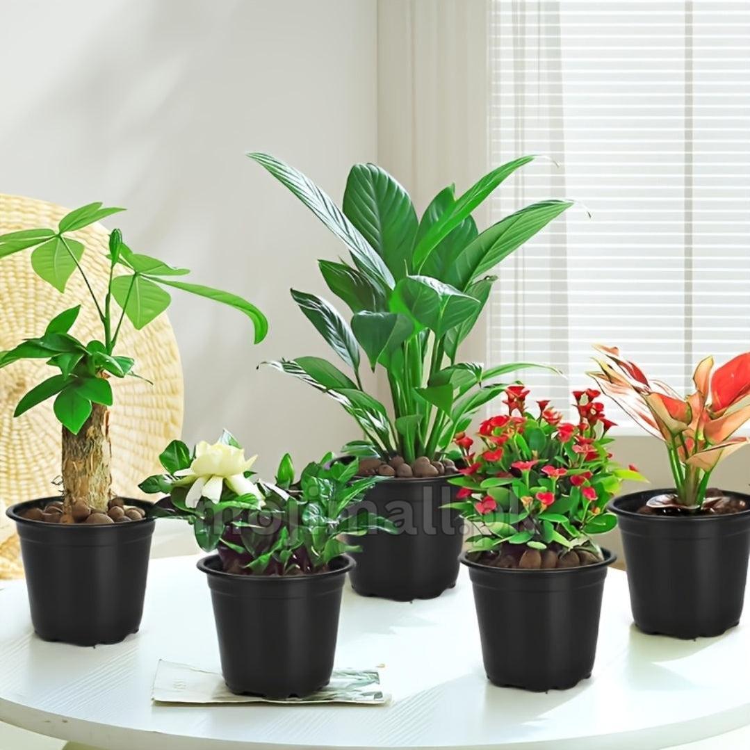 5 Inch Black Flexible Plastic Pots - Imported-Moji Mall Pakistan