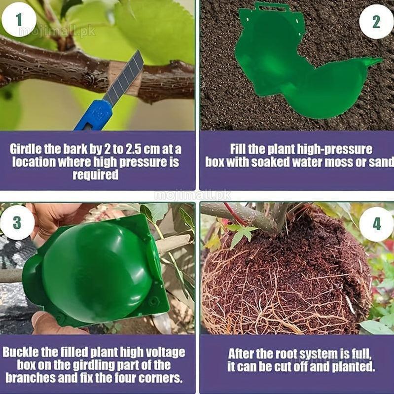 Step-by-step guide on using a plant Air Layering Cup high-pressure box with text instructions.