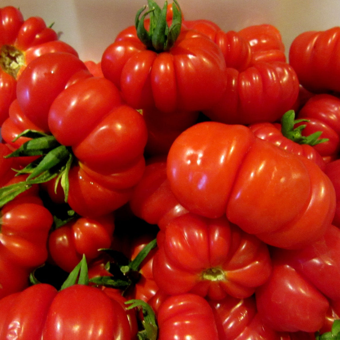 Beef Tomato - 25+ Seeds