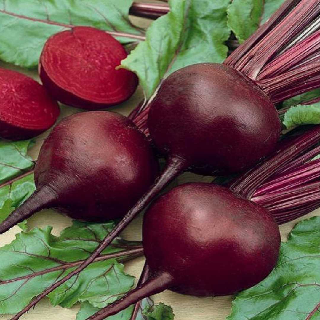 Beetroot (چقندر) - F1 Hybrid 70+ Seeds