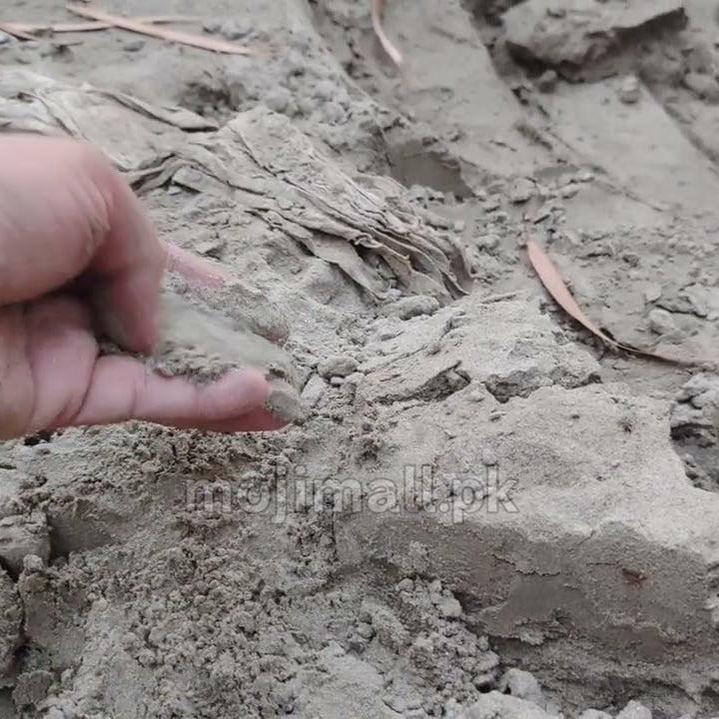 Hand holding Bhal Mitti for plants