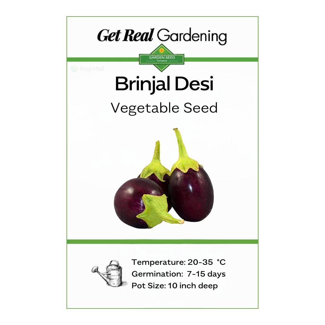 Brinjal (Black) seed packet with vegetables and branding on a white background