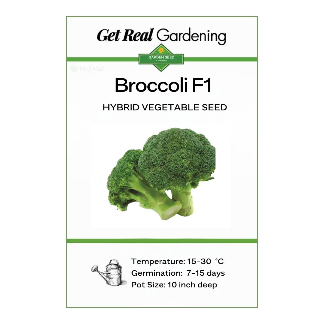Broccoli (بروکلی) – F1 Hybrid 25+ Seeds