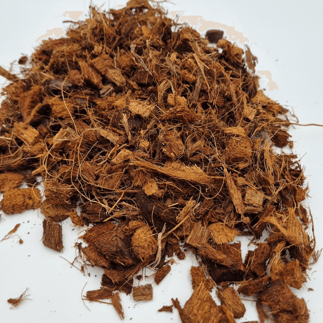 Buy coco chips for gardening – Moji Mall