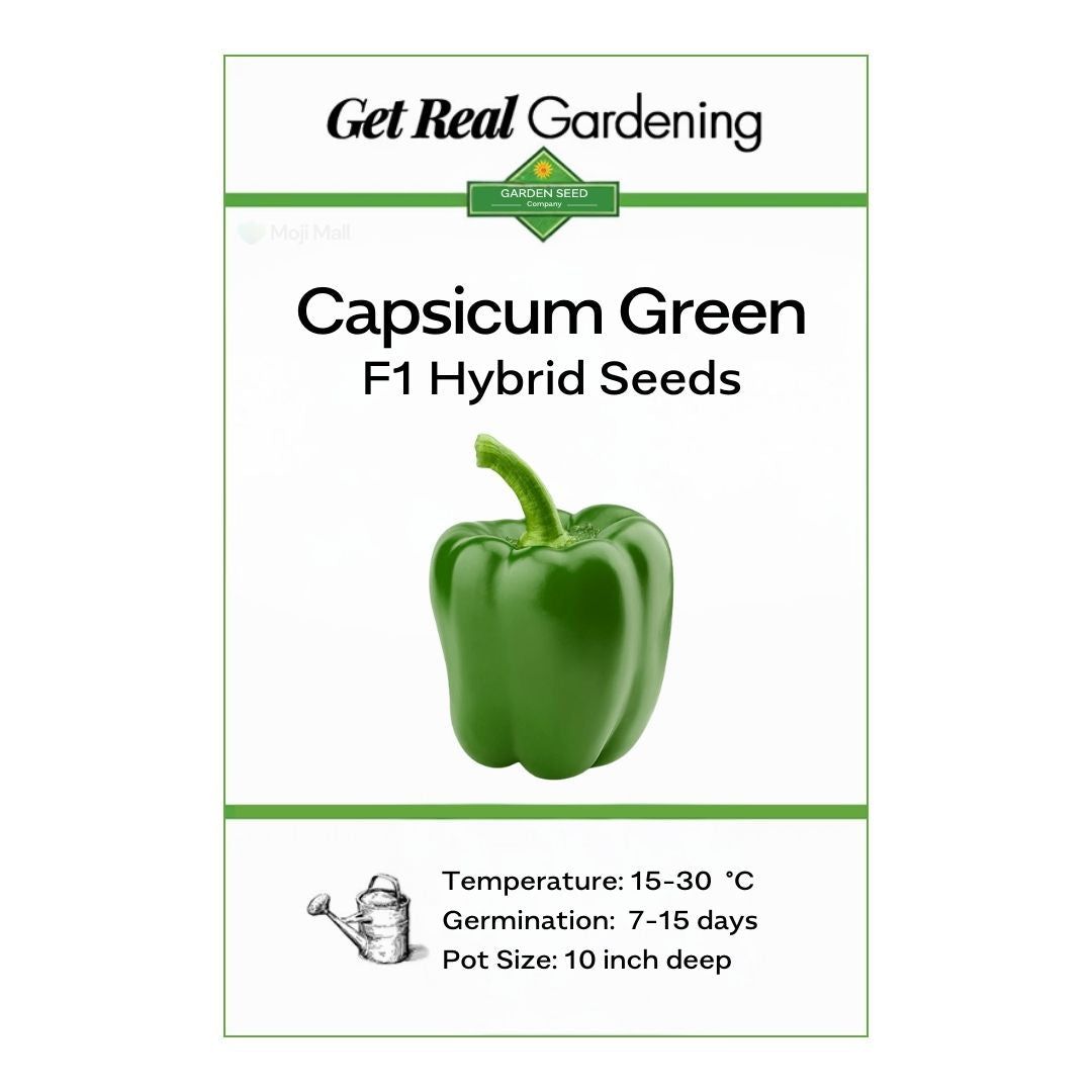 Capsicum Green – F1 Hybrid 25+ Seeds