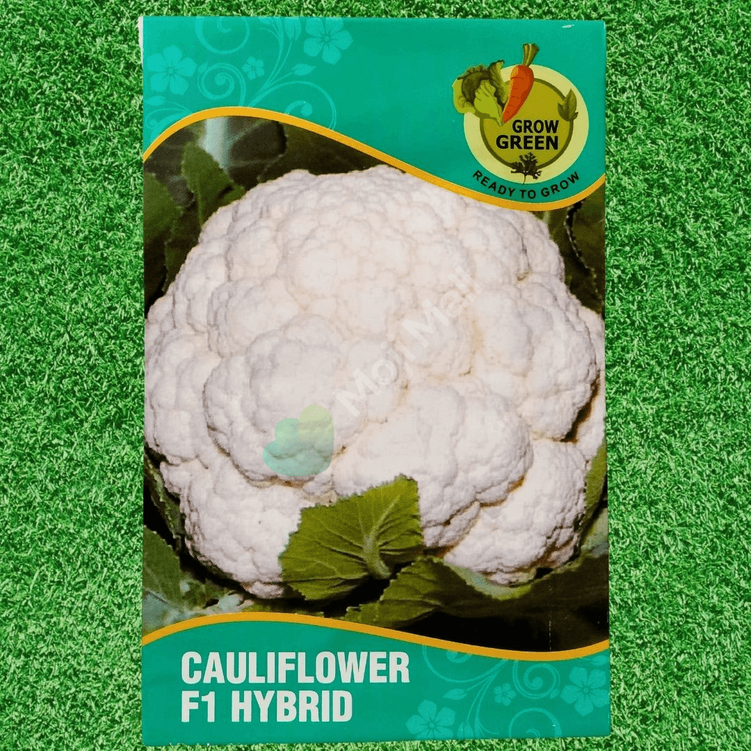 Cauliflower – F1 Hybrid 45+ Seeds