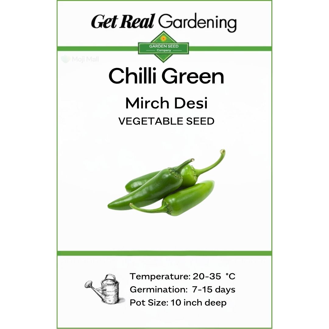 Chili (دیسی مرچ کے بیج) – 50+ Seeds