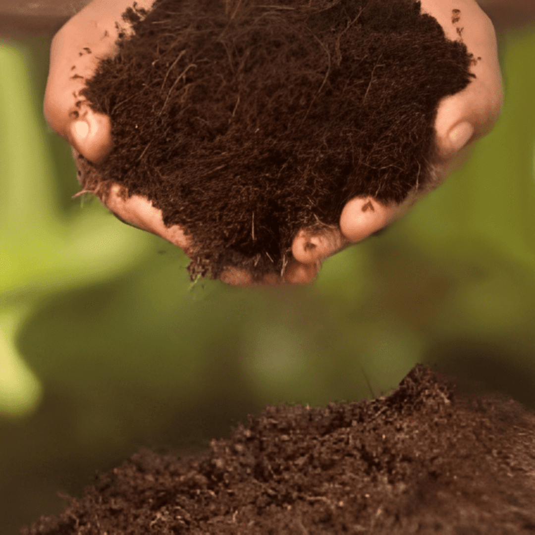 Coco peat for gardening