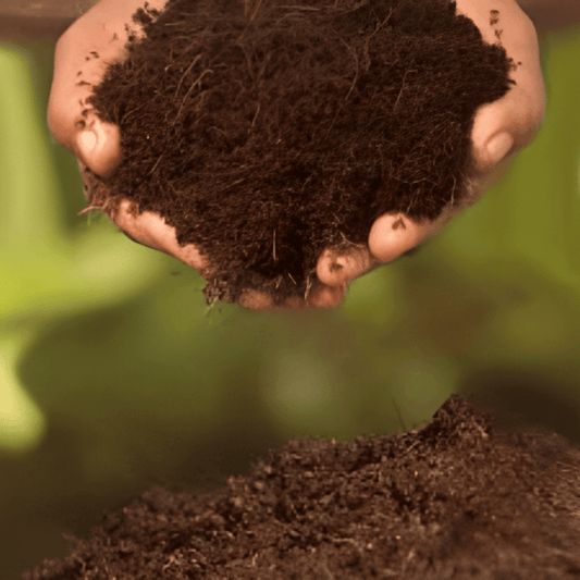 Coco peat for gardening