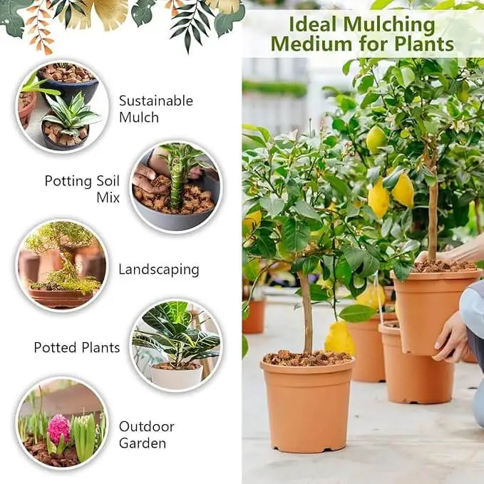 Coconut husk chips for plants