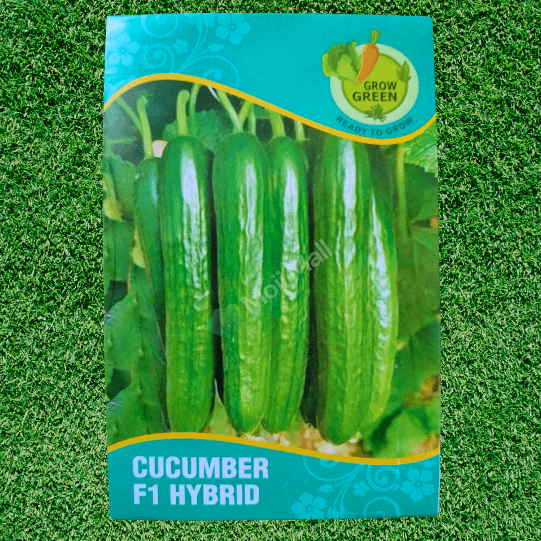 Cucumber (کھیرا) - F1 Hybrid 10+ Seeds