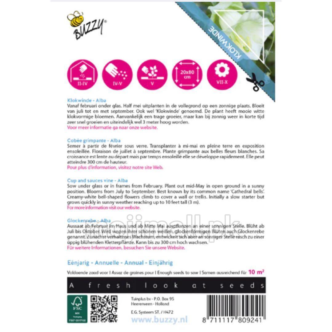 Cup And Sauces Vine White - Buzzy Seeds (imported - Limited Stock)-Moji Mall