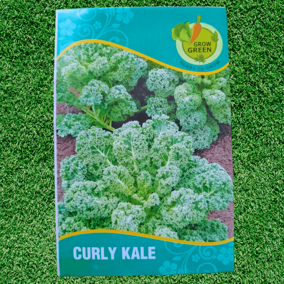 Curly Kale - Seeds