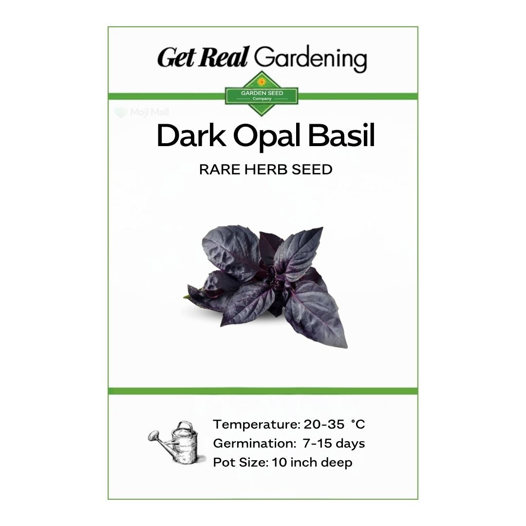 Dark Opal Basil – 30+ Seeds