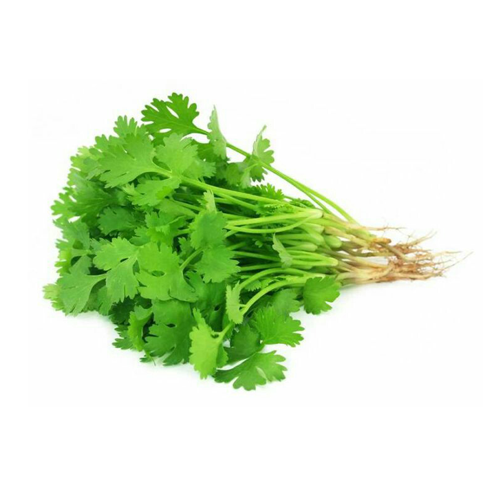Coriander – 500+ Seeds