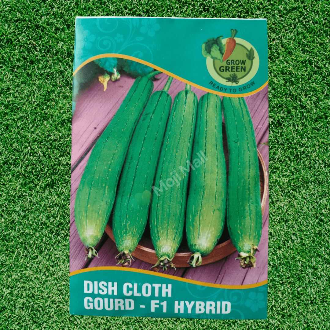 Sponge Gourd – F1 Hybrid Seeds-Moji Mall
