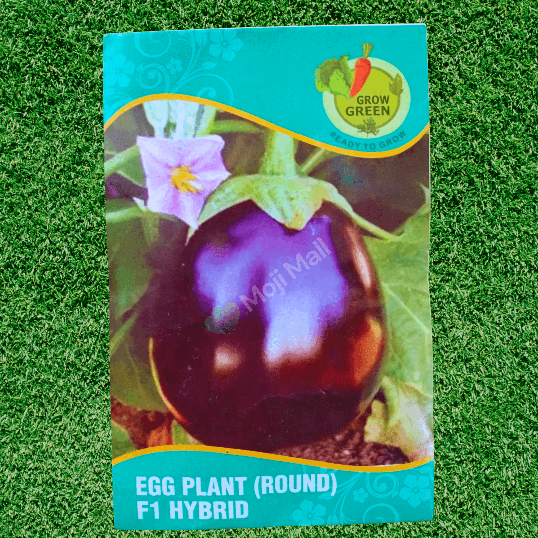 Brinjal Round – F1 Hybrid 40+ Seeds