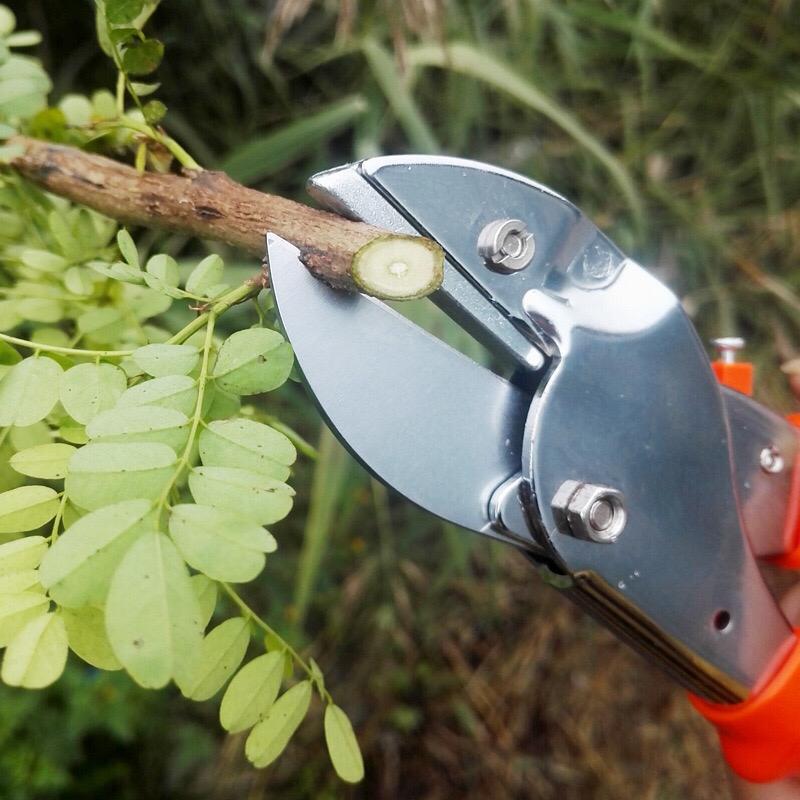 Garden Scissors