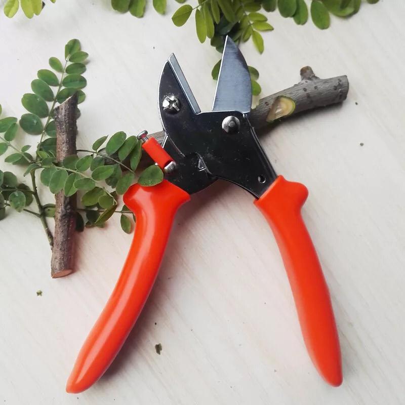 Garden Scissors
