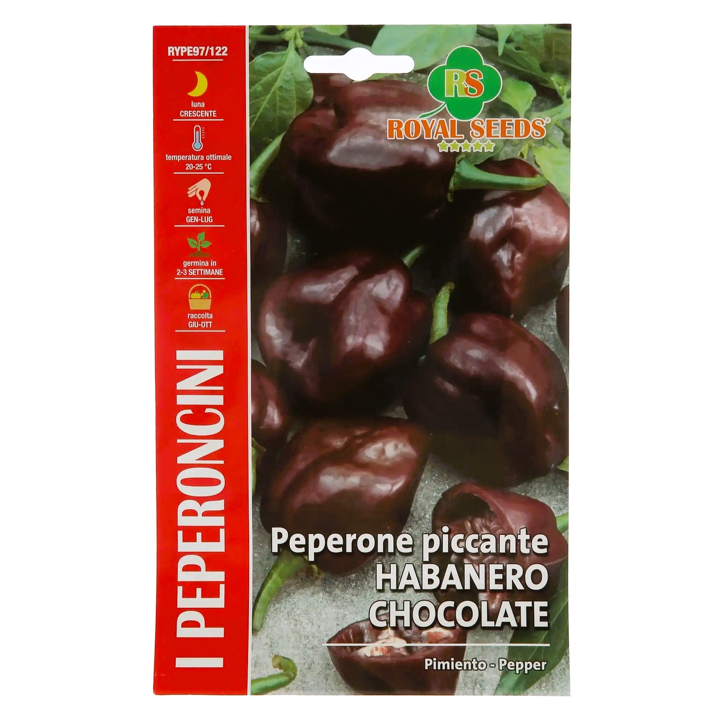 Habanero Pepper – Hot Chocolate