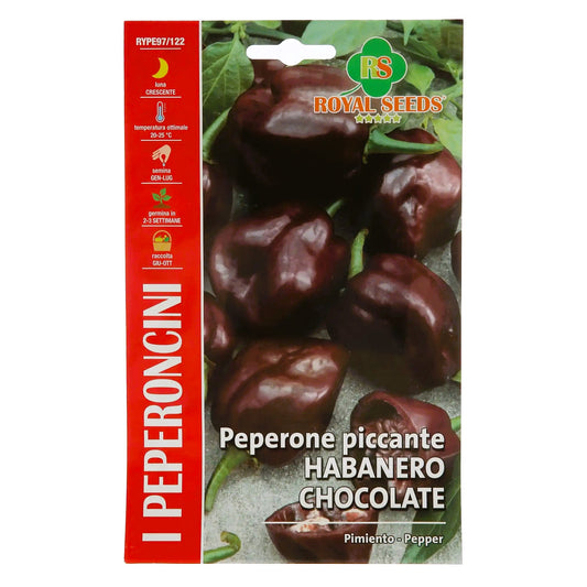 Habanero Pepper – Hot Chocolate