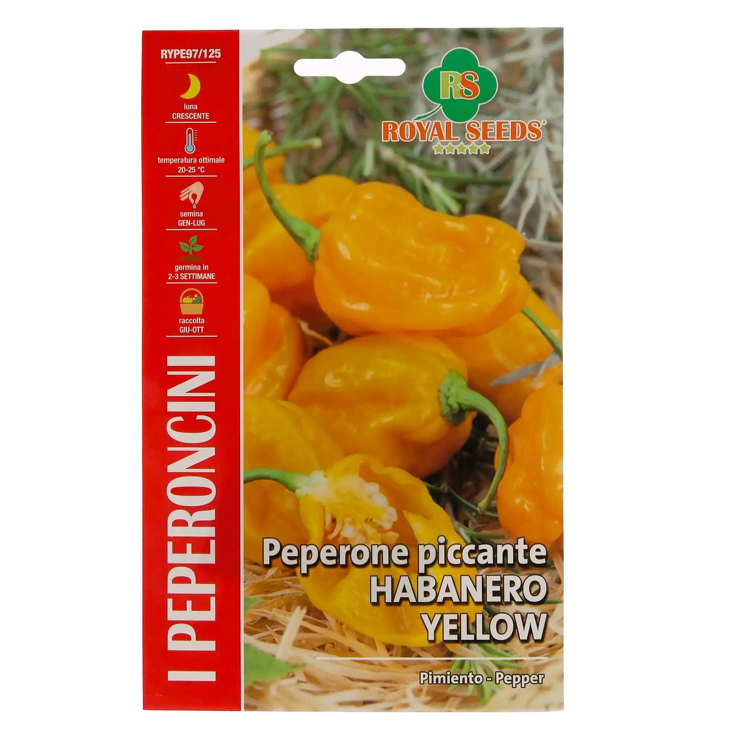 Habanero Pepper - Hot Yellow