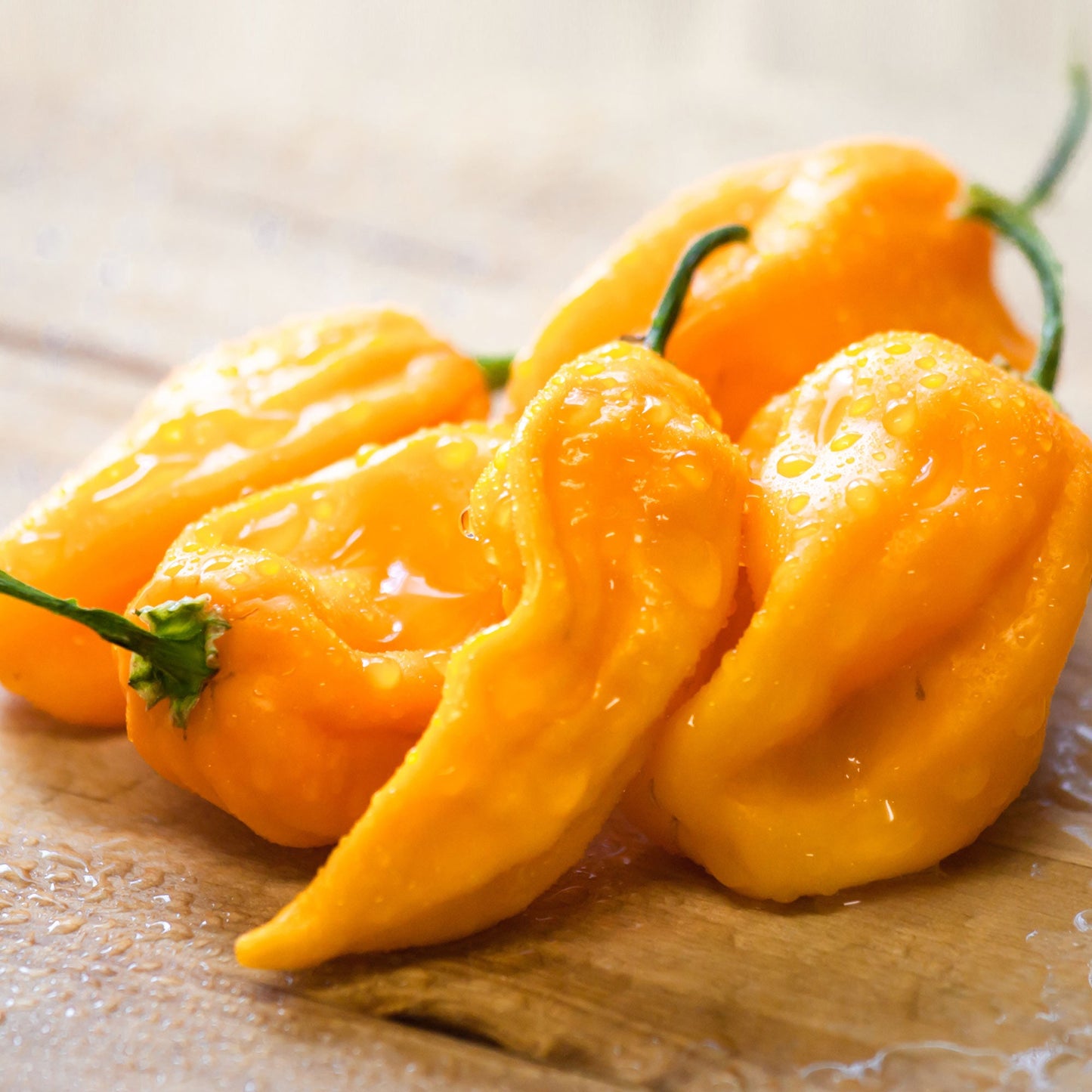 Habanero Pepper - Hot Yellow