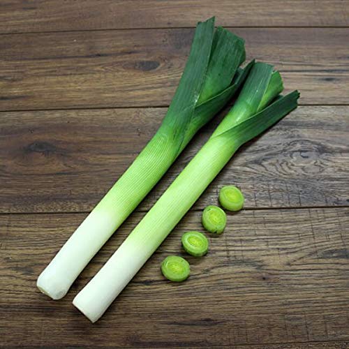 Leek – 35+ Seeds