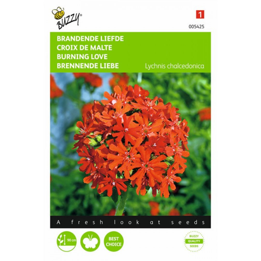 Burning love – Buzzy Seeds (Imported - Limited Stock)