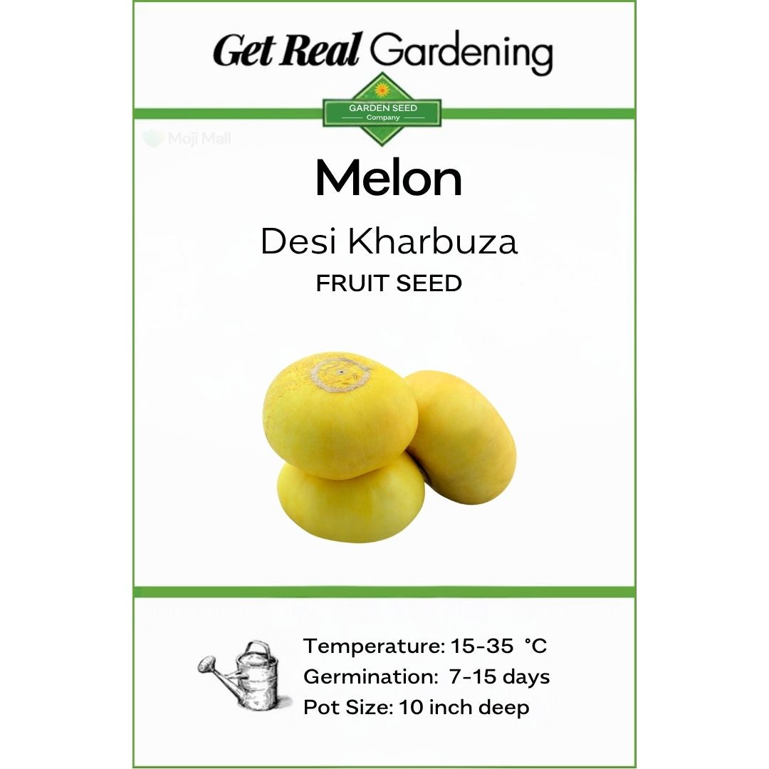 Melon (خربوزہ کے بیج) – 50+ Seeds