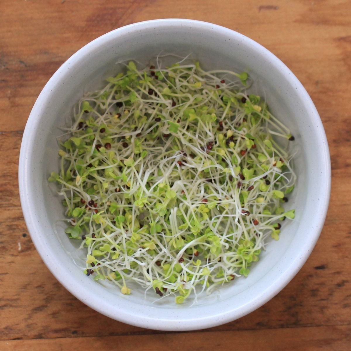 Mustard - Microgreens Seeds