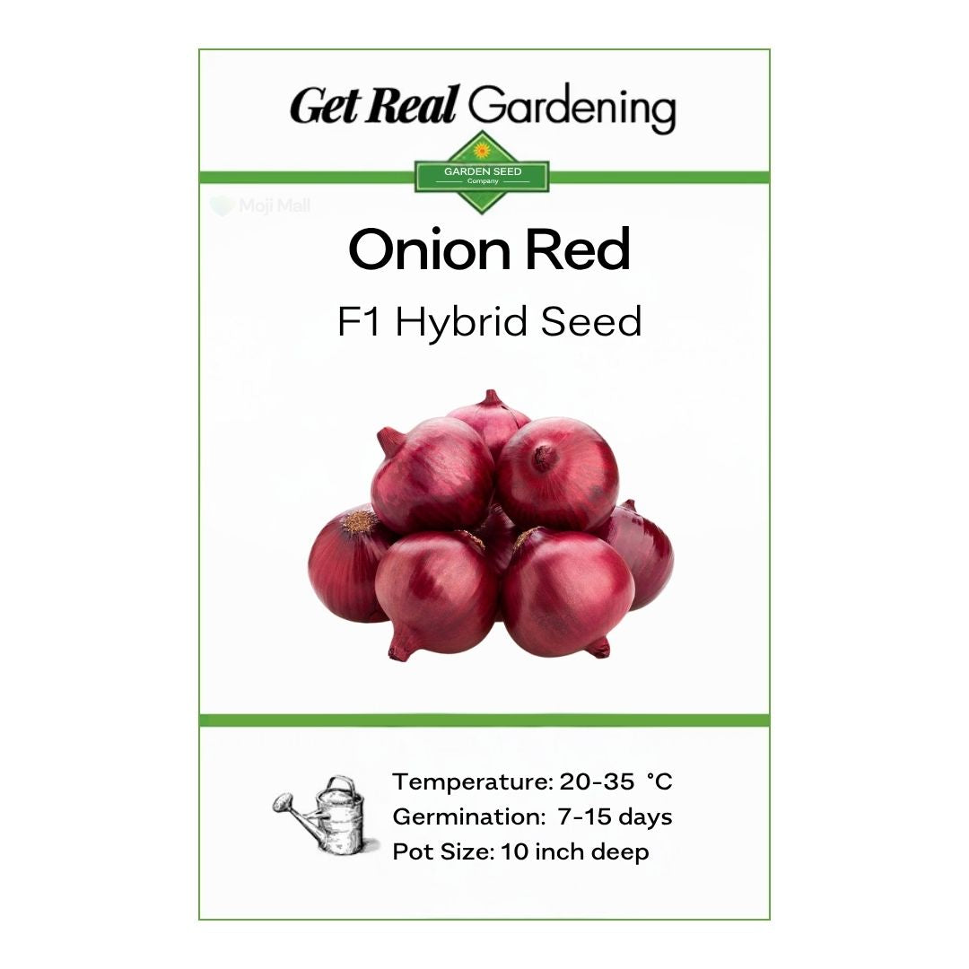 Onion Red – F1 Hybrid 150+ Seeds