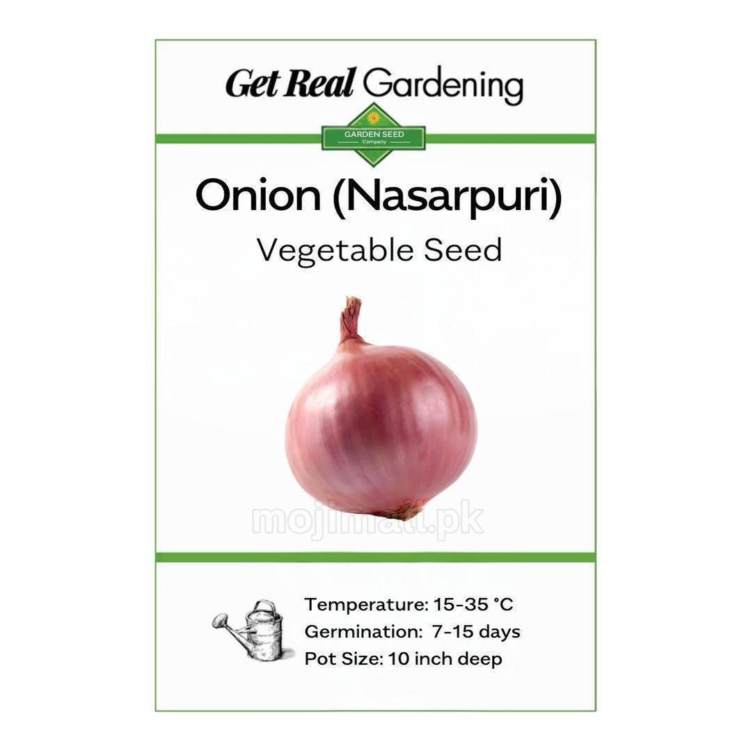 Onion Nasar-puri – 300+ Seeds-Moji Mall