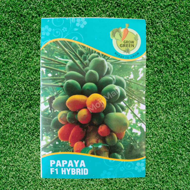 Papaya (Red Lady) – F1 Hybrid 5 Seeds