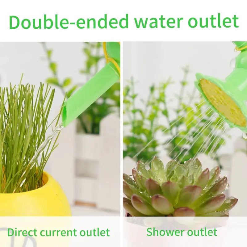 Sun Flower - Double Head Shower