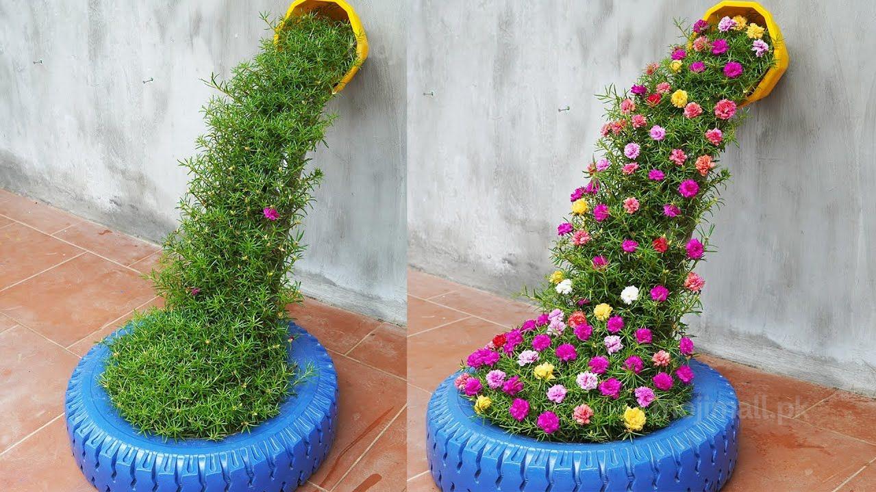 Portulaca (Double Mixed) – 200+ Seeds-Moji Mall