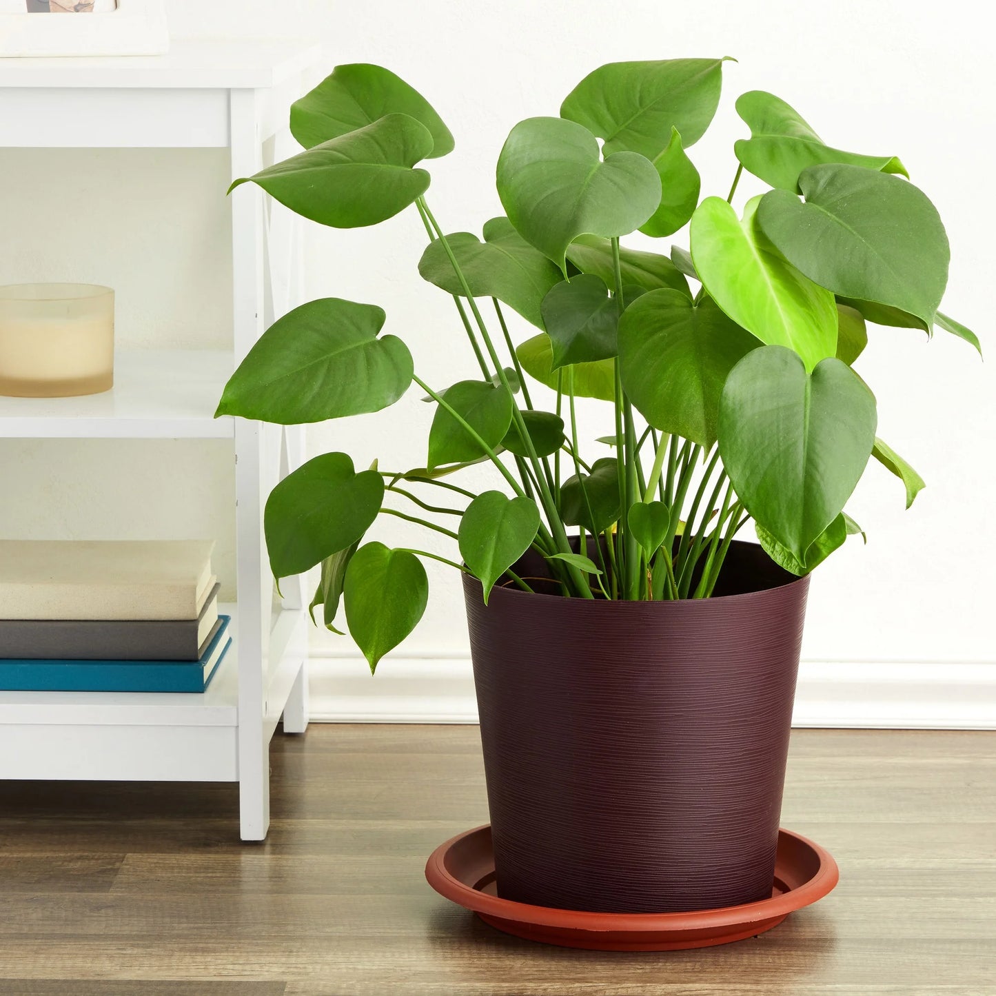 Pot tray designed to hold plant pots and catch excess water during watering