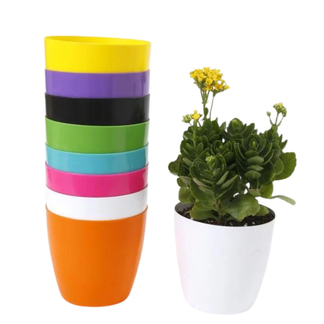 Pots - Small (3 inchx3 inch)