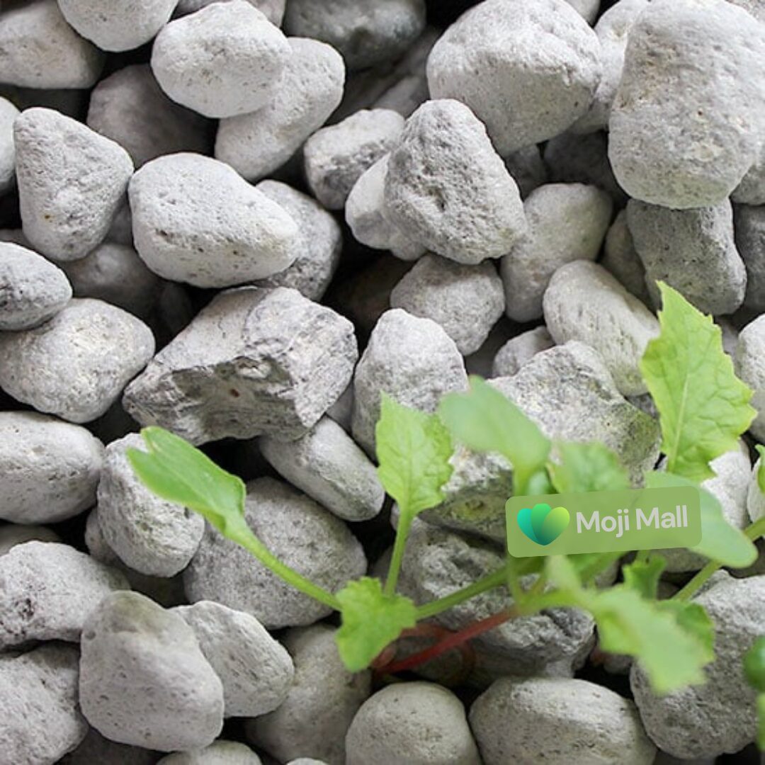Pumice Stone 16-22mm – Washed
