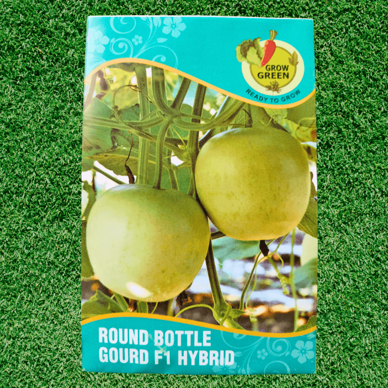 Round Gourd (کدو) - F1 Hybrid Seeds