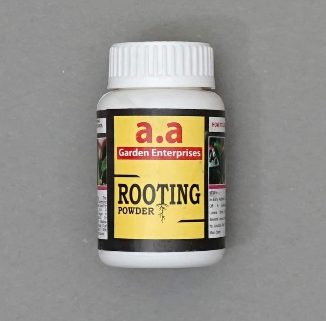 Rooting Powder A.A