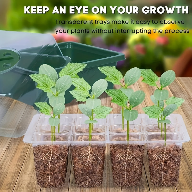 Seedling Box – 12 Holes